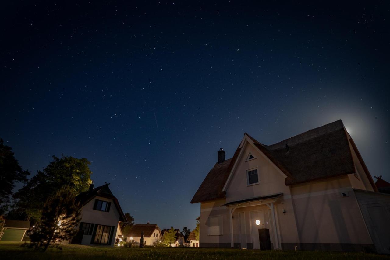 Luxusferienhaus Fuchsbau - Mit Netflix, Playstation, Sauna, Sportraum Und Kamin Zirchow Exterior foto